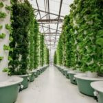 Beyond Crops: Innovations in Urban Farming for a Greener Future